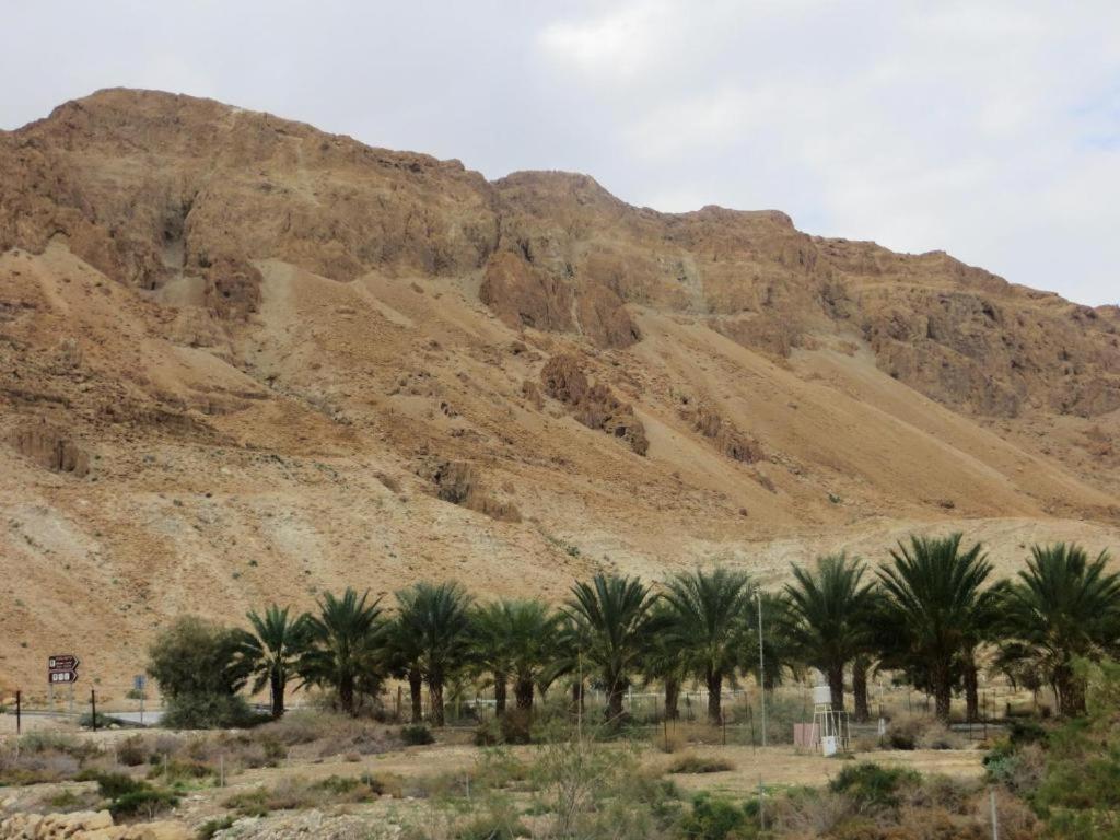 Ein Gedi Lodge *