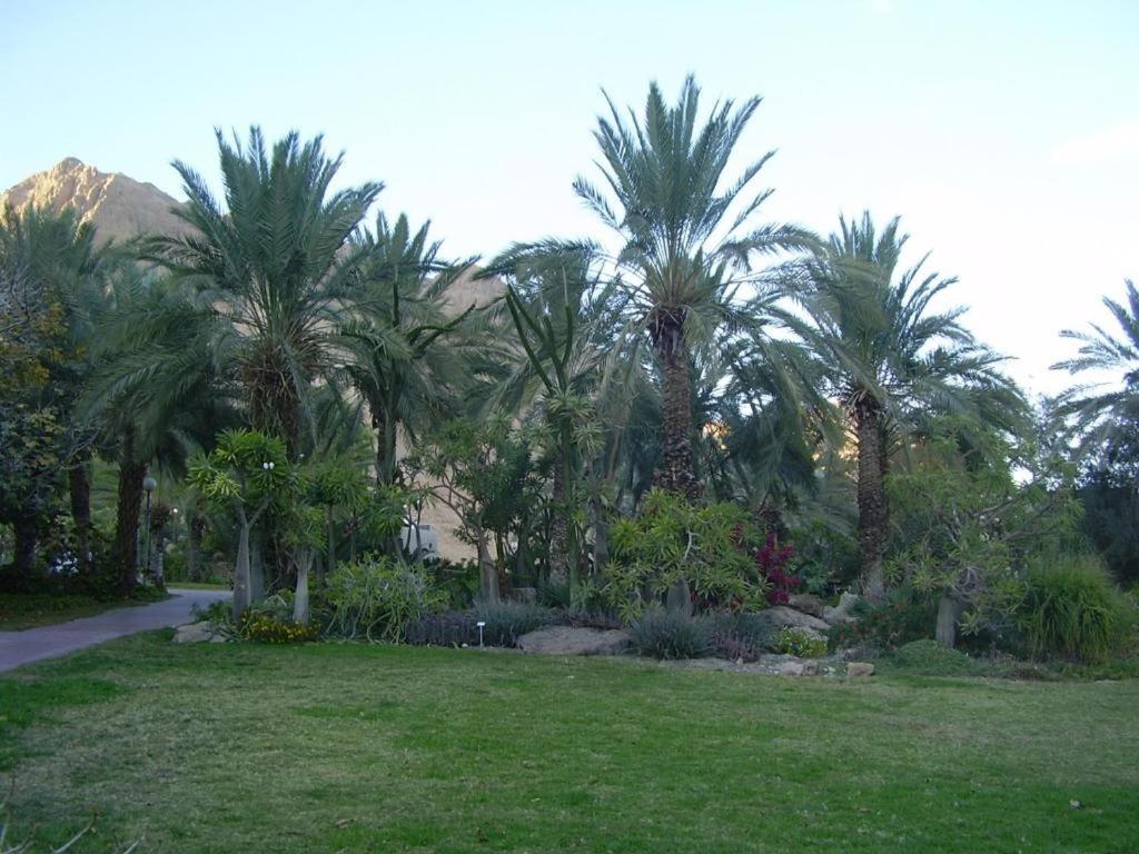 Ein Gedi