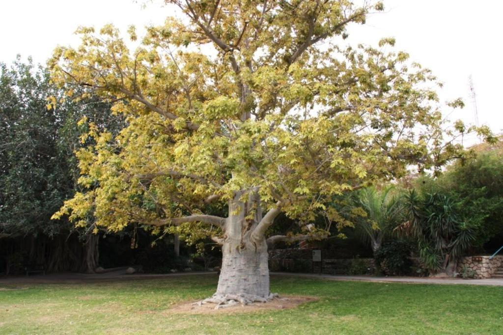 Lodge Ein Gedi Neve Zohar